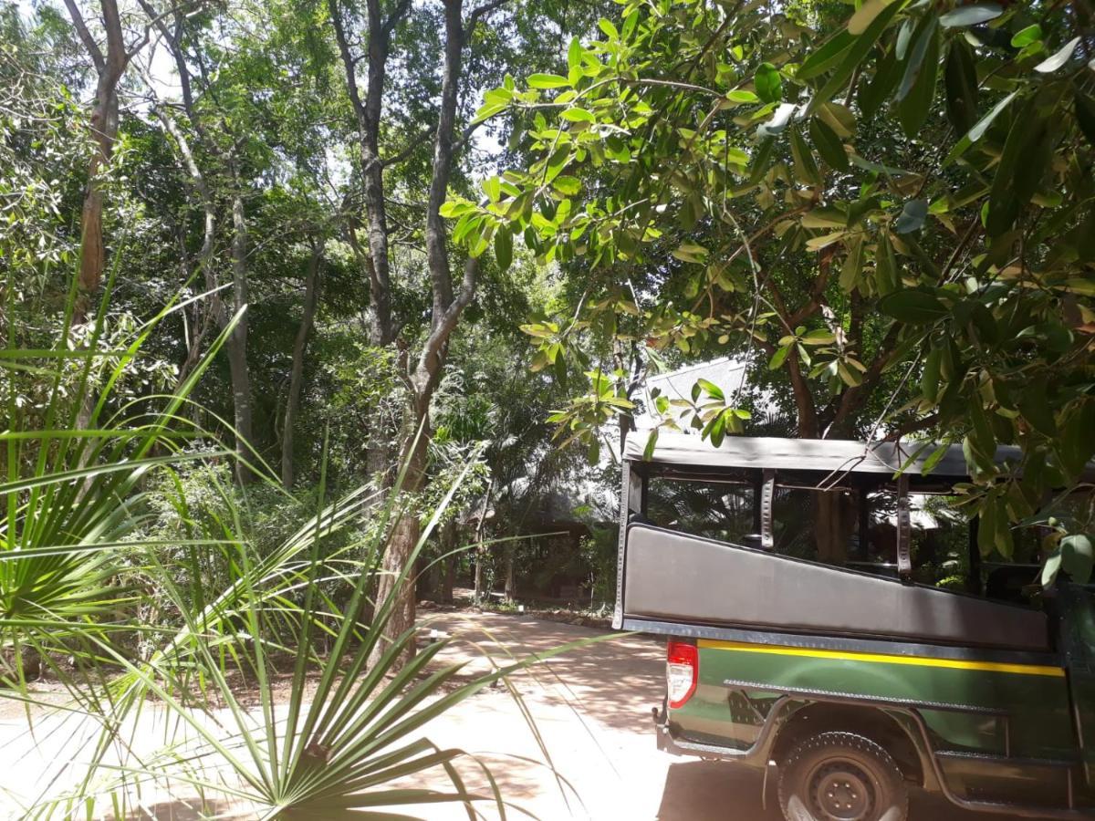 Kruger Eden Lodge Marloth Park Dış mekan fotoğraf